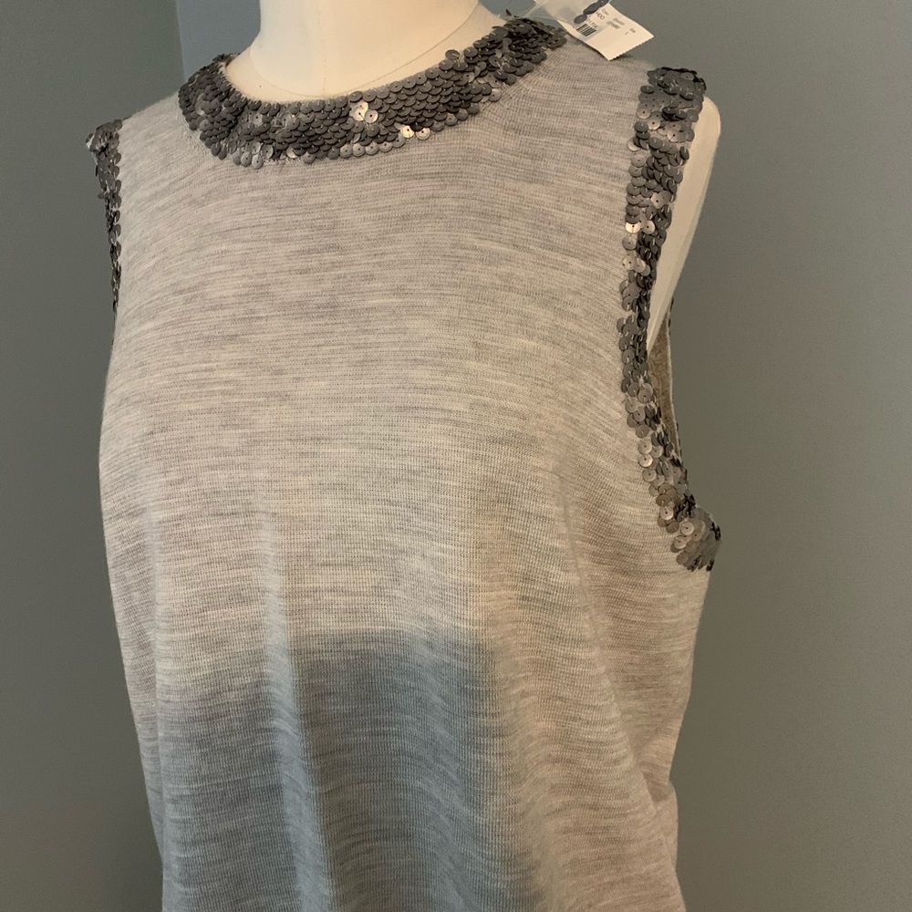 JCrew merino tank with silver sequins.
